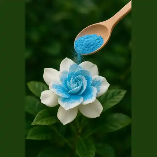 How does Gardenia Blue compare to synthetic blue dyes?